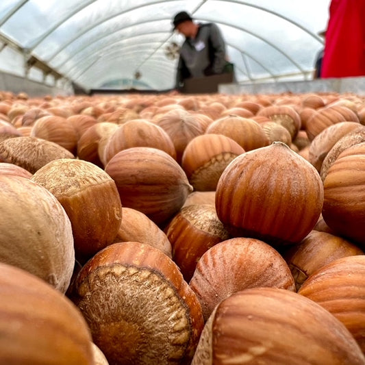 It's All Claudio's Fault